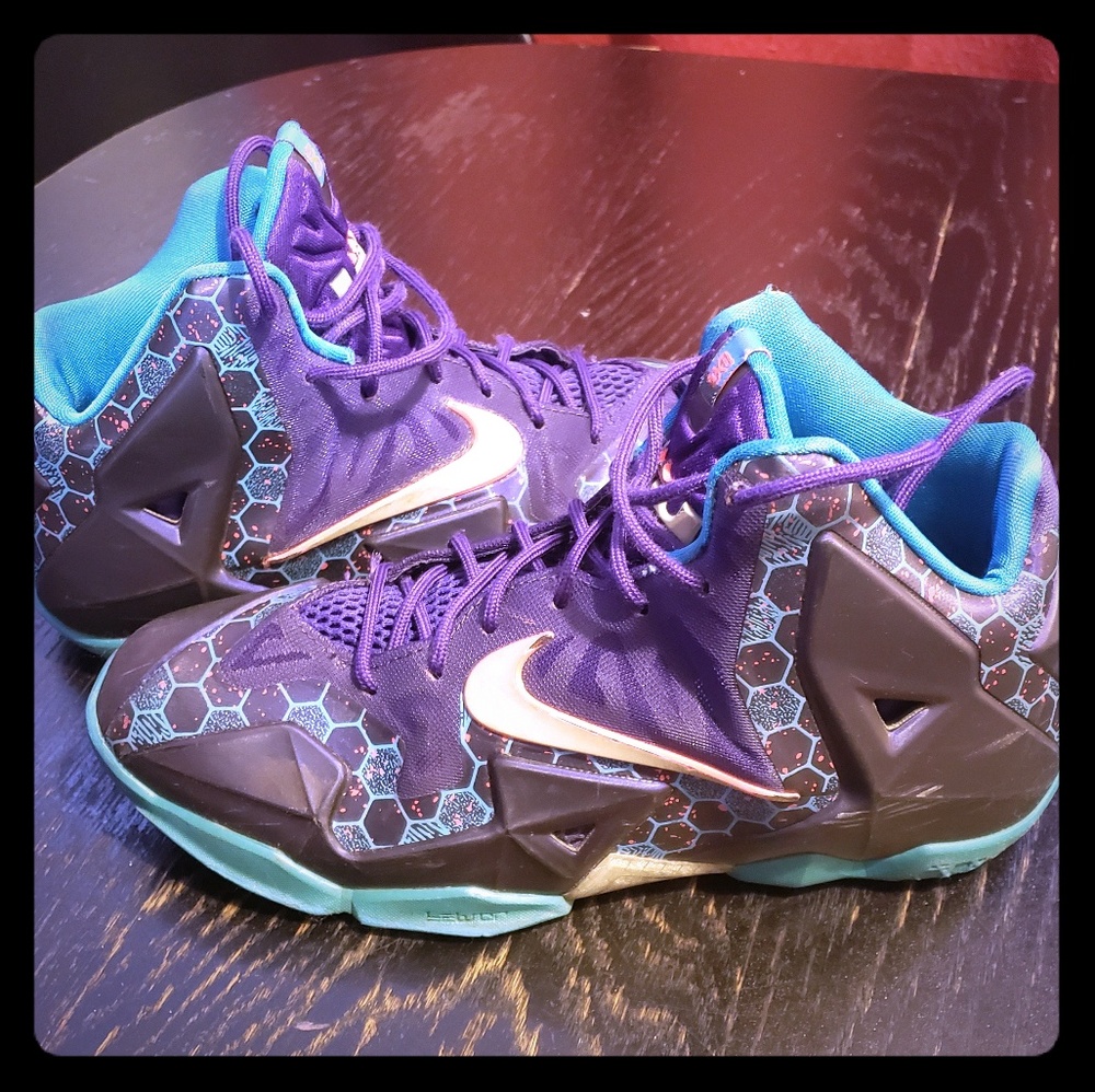 *Final price*Nike Lebron James Sneakers